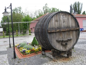aoç şarap fabrikası