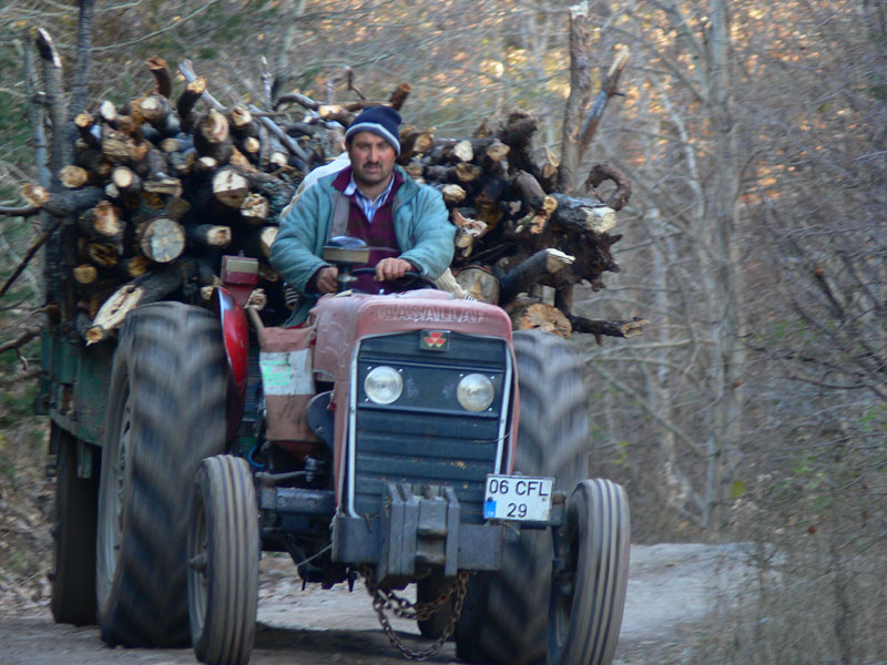 Ormancı Traktör